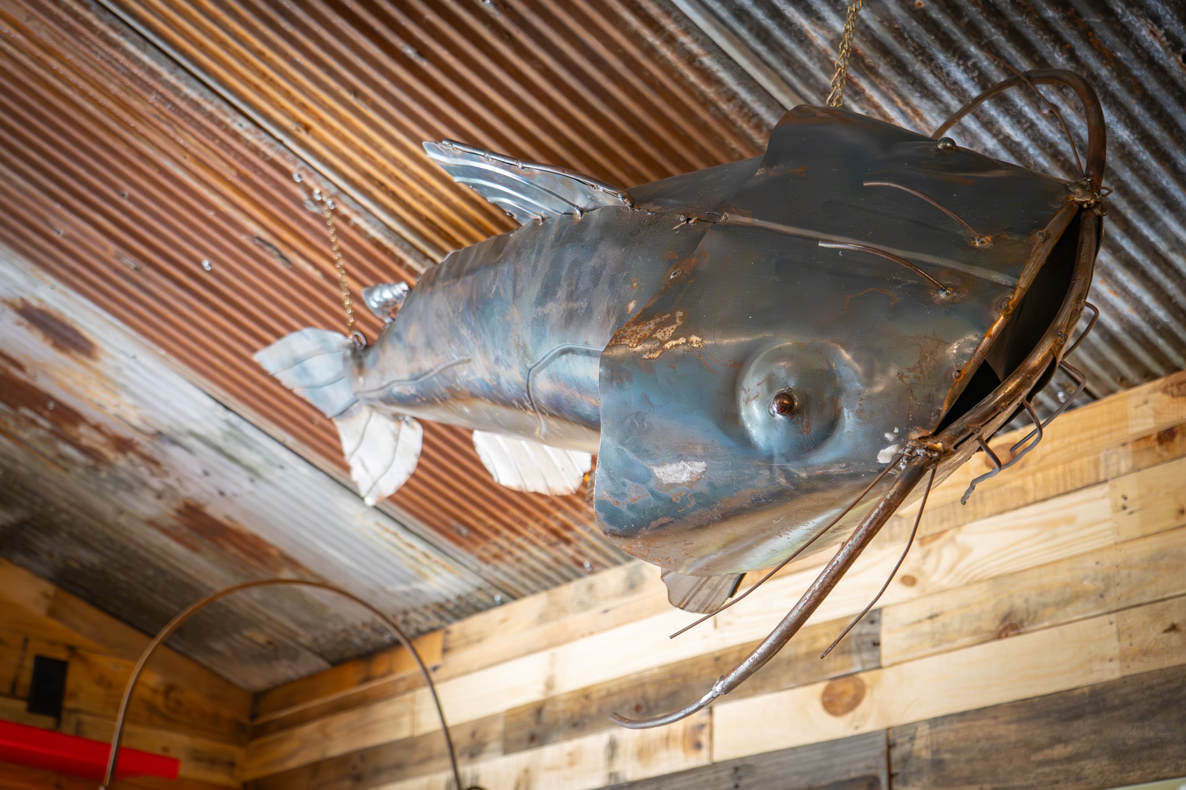 Unique custom designs and artwork "Kitty the Catfish" watches over you