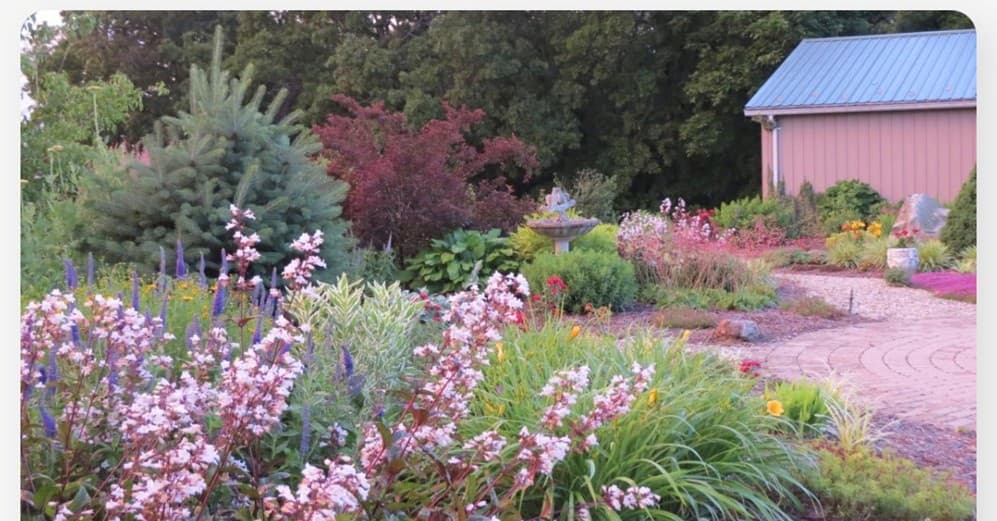 A vibrant garden with a variety of colorful flowers and greenery, alongside a path leading to a building.