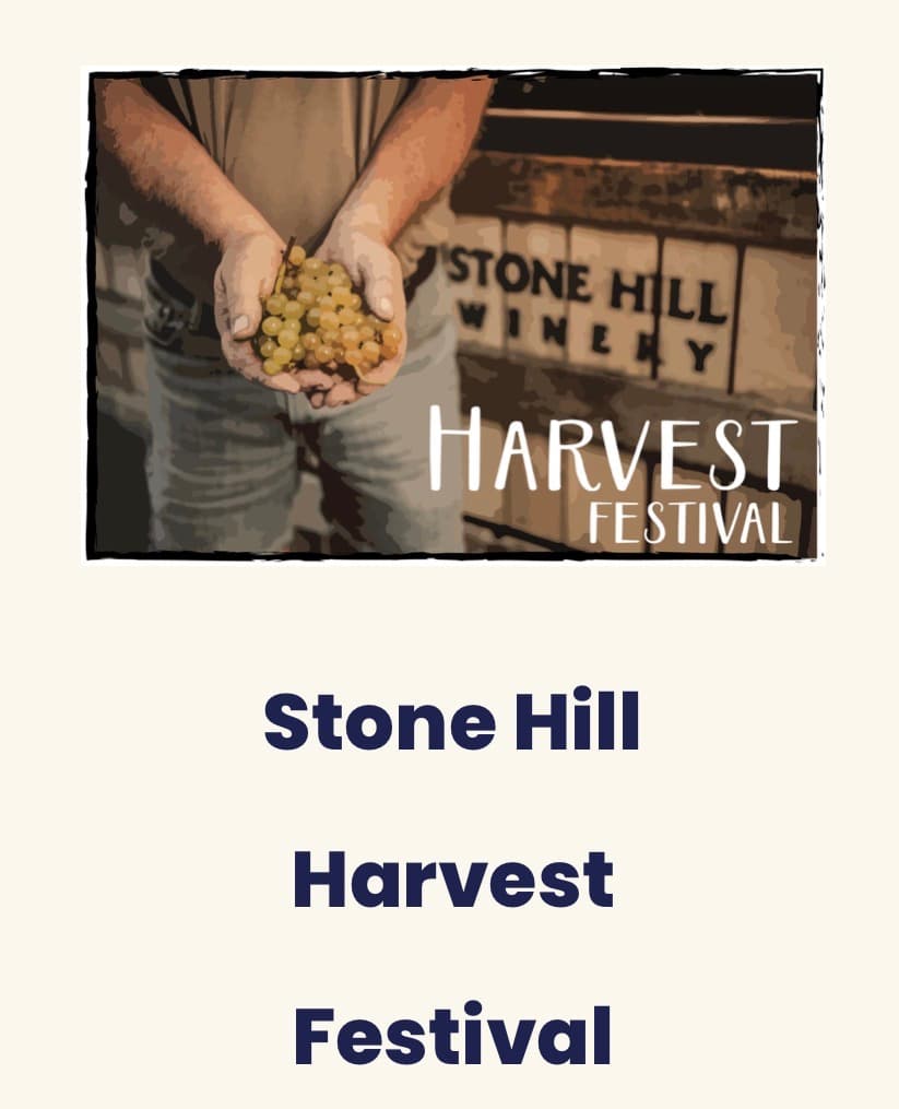 A person holding a cluster of grapes in front of a Stone Hill Winery backdrop, promoting the Harvest Festival.