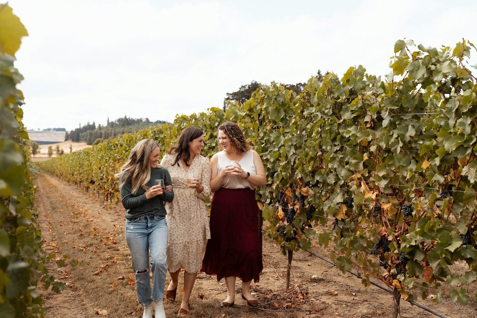 Three women walk together through a vineyard, enjoying drinks and chatting.