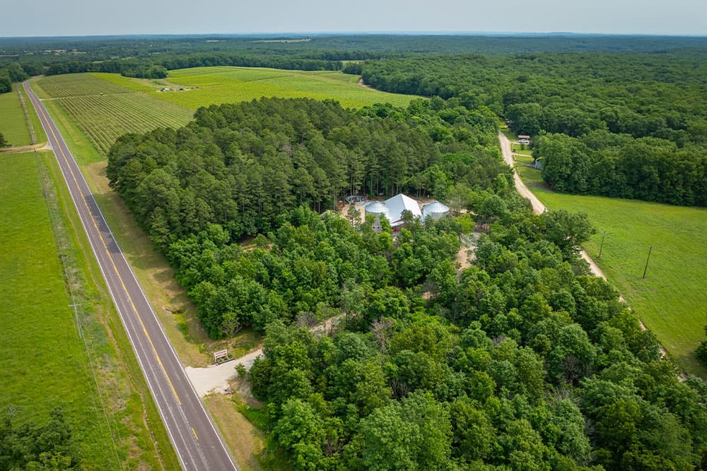 Aerial view of a wooded area near a vineyard, with a road running alongside.