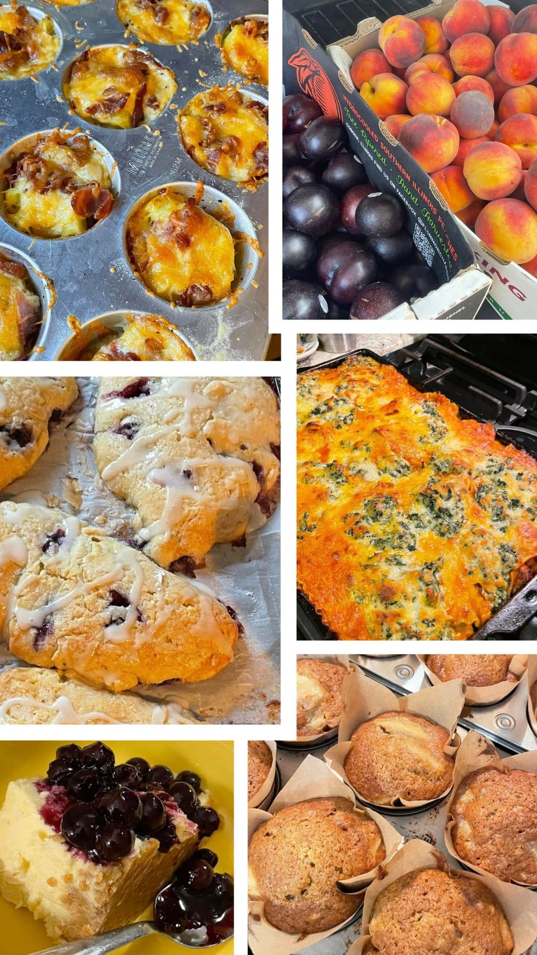 A collage of baked goods including savory muffins, scones, and fruit desserts alongside fresh peaches and plums.