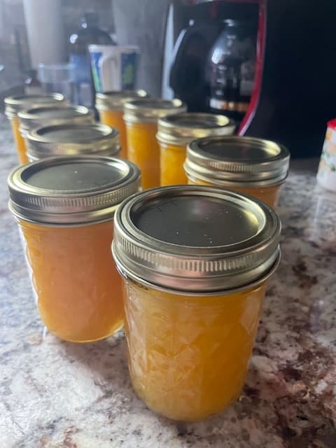 A row of sealed glass jars filled with orange liquid on a countertop.